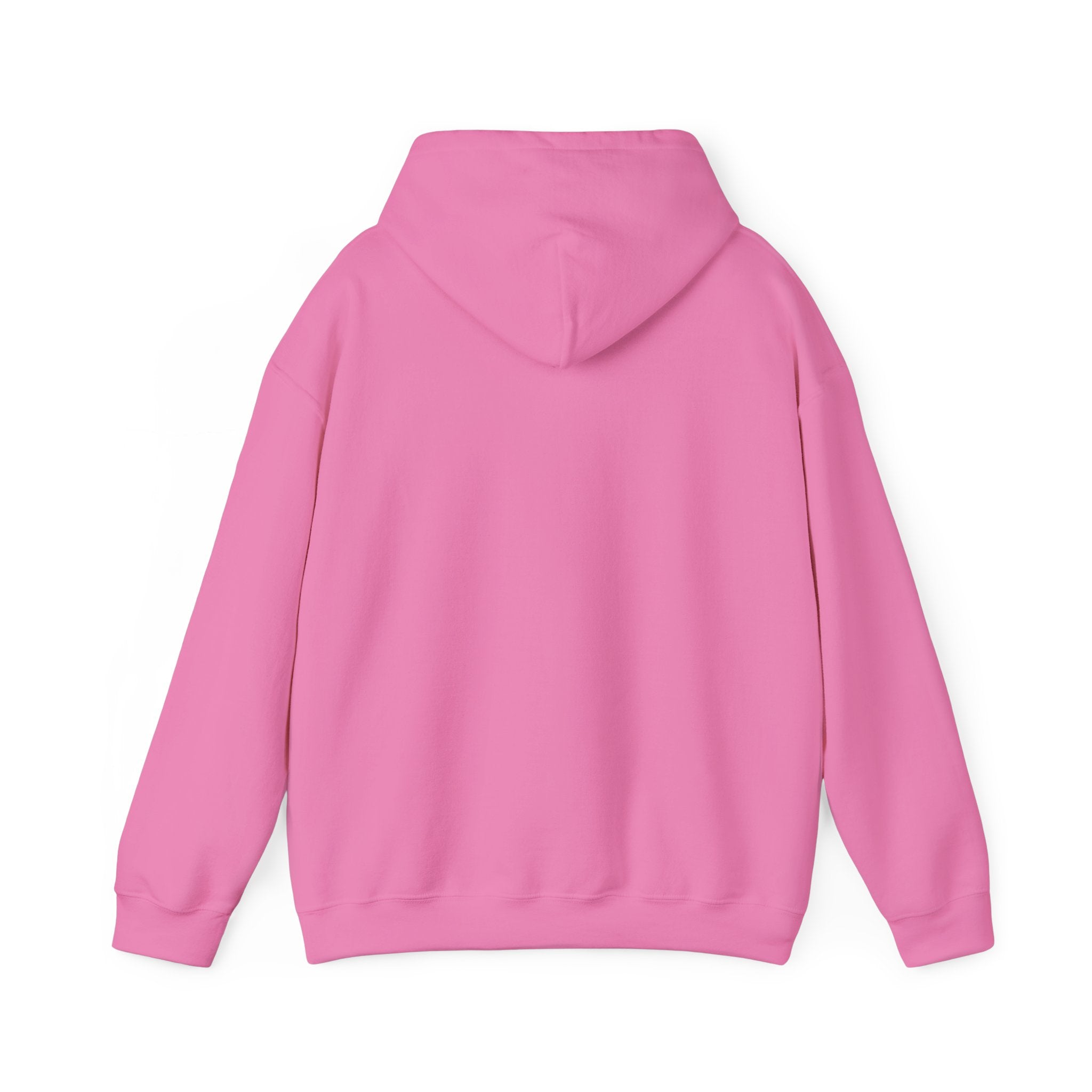 Cozy Companion hooded sweatshirt